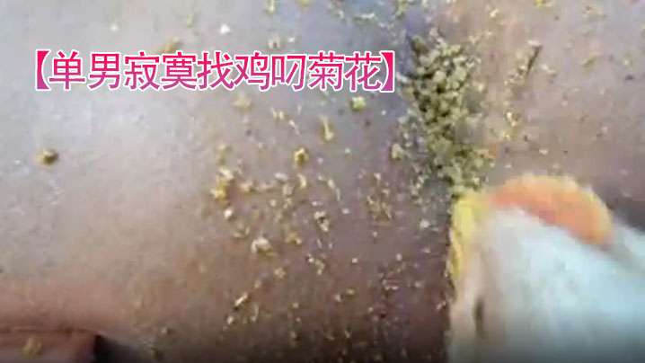 单男寂寞找鸡叼菊花菊花看起来好紧逼